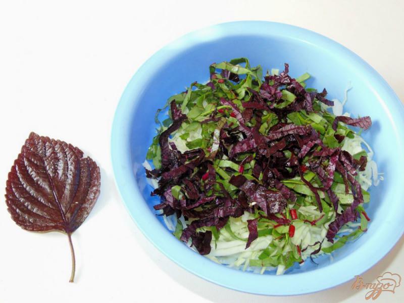Фото приготовление рецепта: Капустный салат с мангольдом и базиликом шаг №3