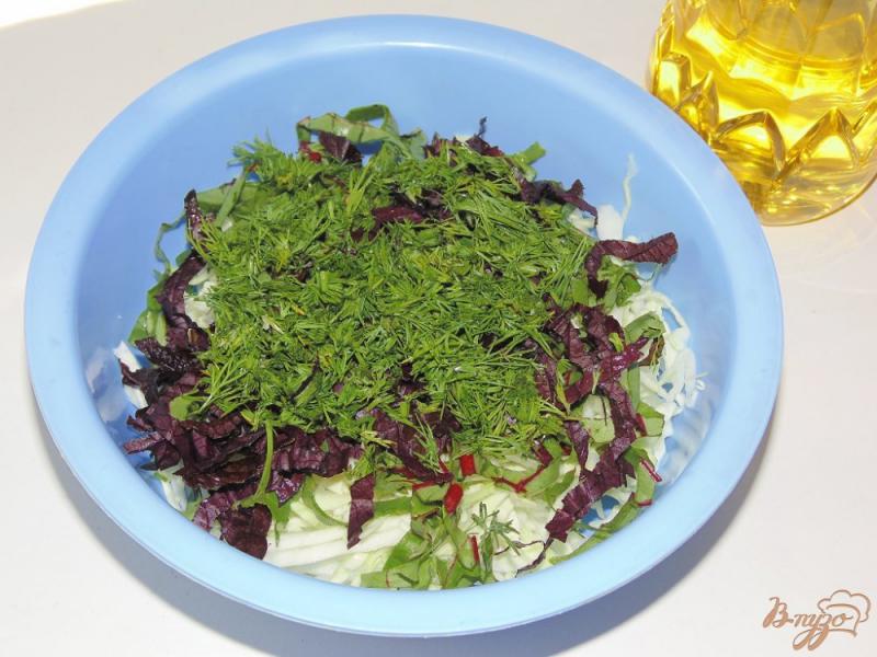 Фото приготовление рецепта: Капустный салат с мангольдом и базиликом шаг №4