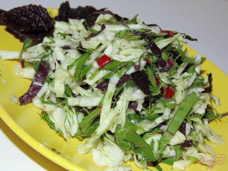Фото приготовление рецепта: Капустный салат с мангольдом и базиликом шаг №5
