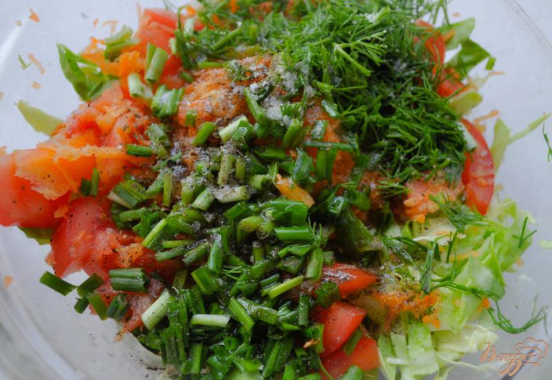 Фото приготовление рецепта: Овощной салат с молодой морковью и капустой шаг №5