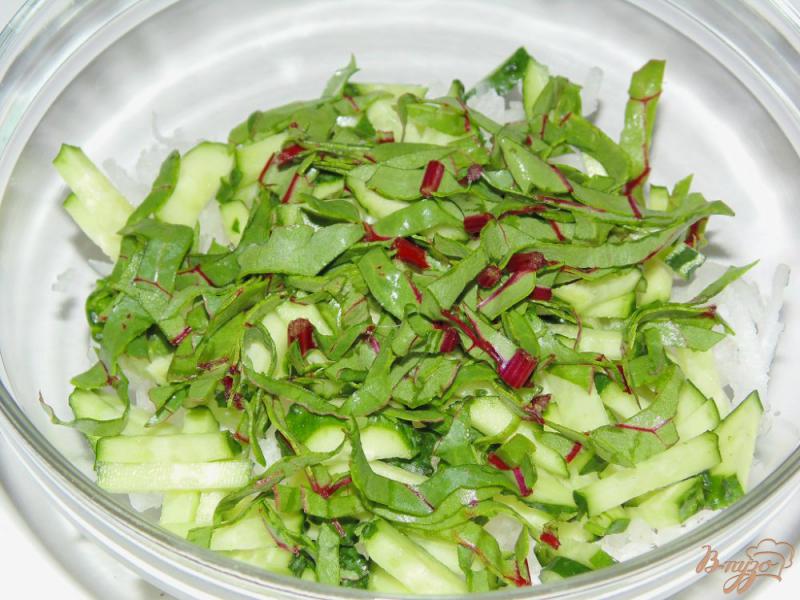 Фото приготовление рецепта: Салат из редиса и белой редьки с мангольдом и огурцом шаг №3