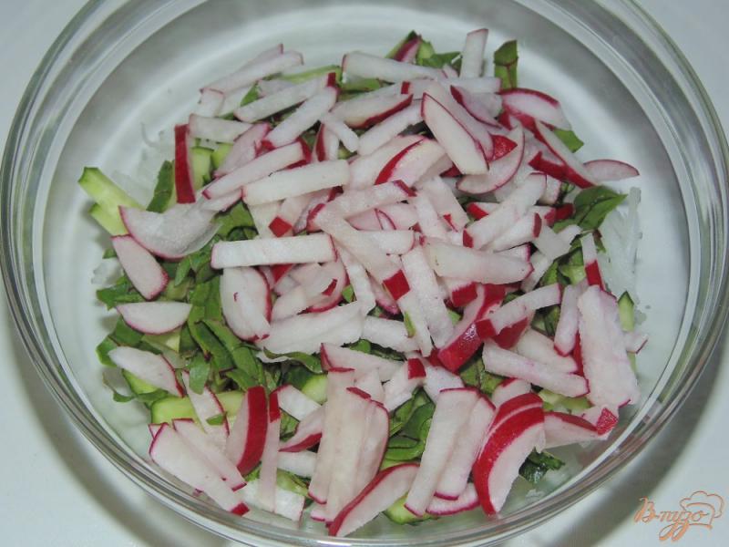 Фото приготовление рецепта: Салат из редиса и белой редьки с мангольдом и огурцом шаг №4