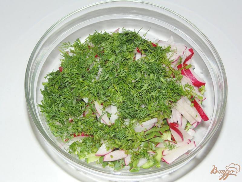 Фото приготовление рецепта: Салат из редиса и белой редьки с мангольдом и огурцом шаг №5