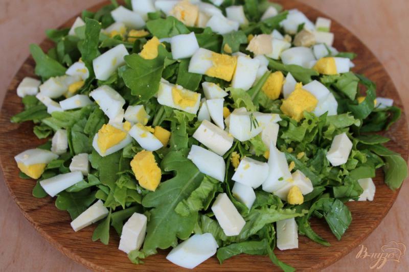 Фото приготовление рецепта: Зеленый салат с сыром сулугуни и яйцом шаг №5