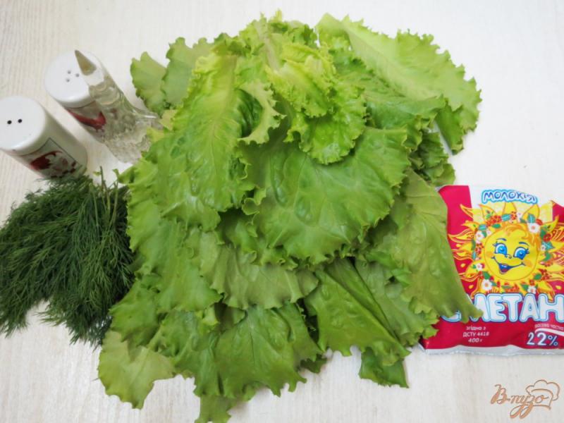 Фото приготовление рецепта: Салат из листьев салата шаг №1