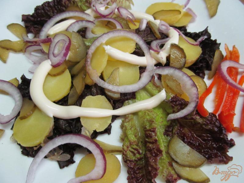Фото приготовление рецепта: Овощной салат с копченой рыбой шаг №3