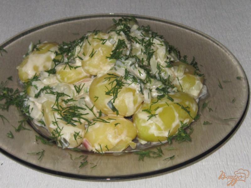 Фото приготовление рецепта: Молодой картофель в сметанном соусе шаг №9