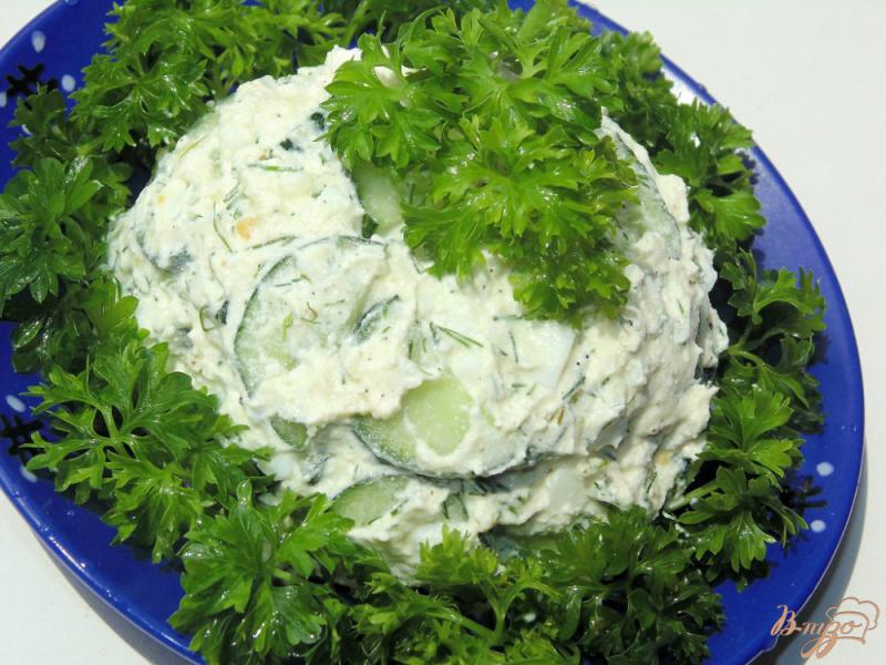 Фото приготовление рецепта: Низкокалорийный творожный салат шаг №5