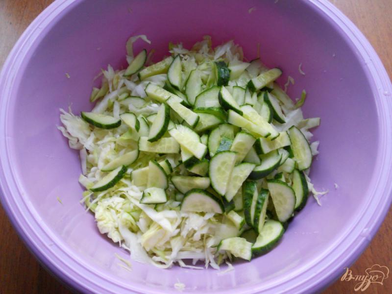 Фото приготовление рецепта: Салат из капусты и овощей со сметаной и чесноком шаг №2