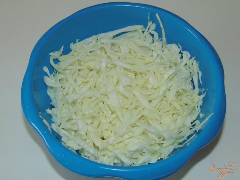 Фото приготовление рецепта: Капустный салат с медово-уксусной заправкой шаг №1