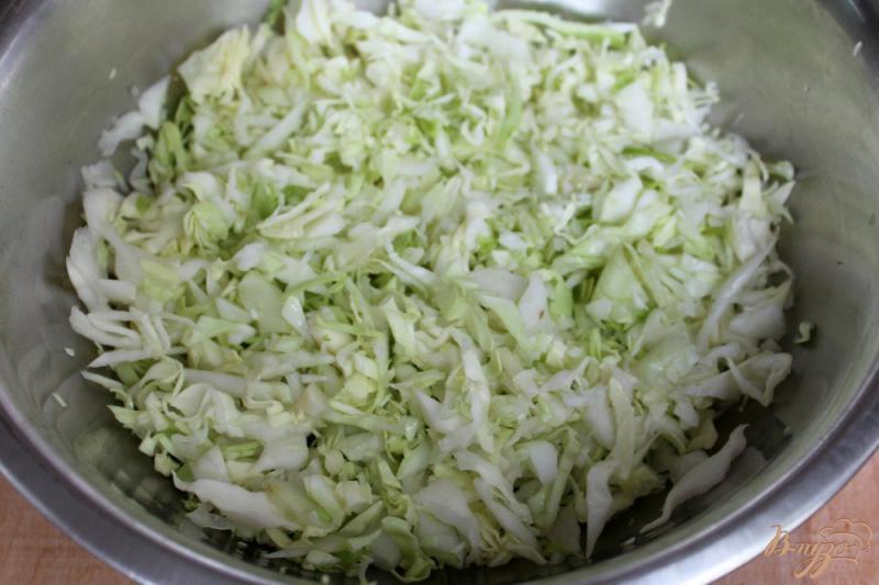 Фото приготовление рецепта: Салат из молодой капусты с шампиньонами и луком шаг №2