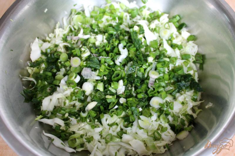 Фото приготовление рецепта: Салат из молодой капусты с шампиньонами и луком шаг №3
