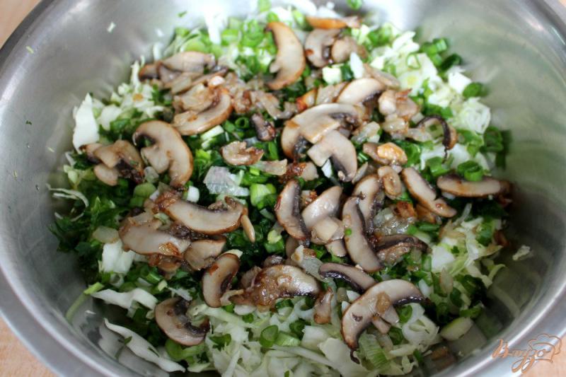 Фото приготовление рецепта: Салат из молодой капусты с шампиньонами и луком шаг №4