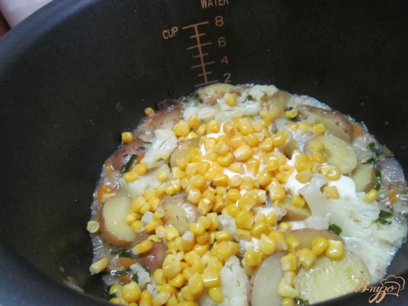 Фото приготовление рецепта: Овощное рагу с цветной капустой в мультиварке шаг №5