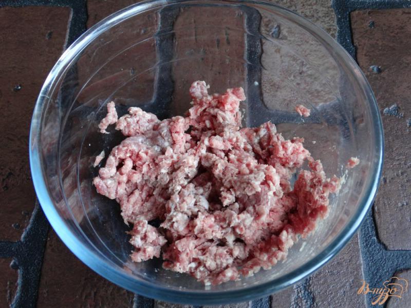 Фото приготовление рецепта: Мясные котлеты запеченные с помидорами и сыром шаг №1
