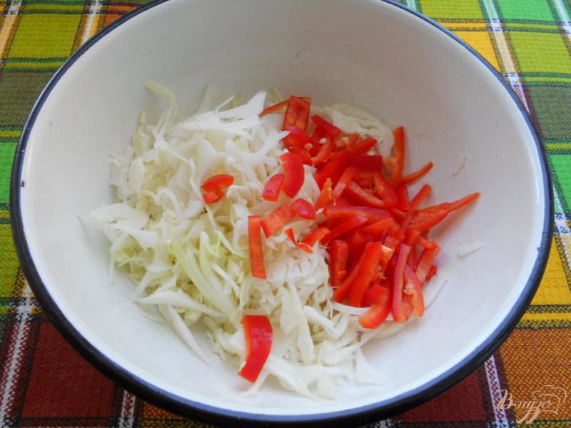 Фото приготовление рецепта: Капустный салат с колбасой и свежим огурцом шаг №1
