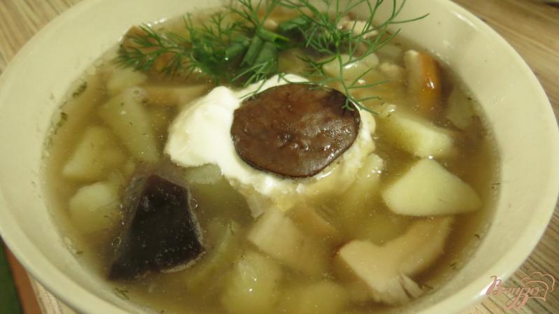 Фото приготовление рецепта: Грибной суп с белыми грибами шаг №6