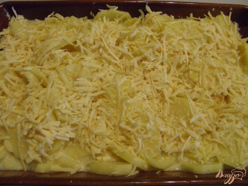 Фото приготовление рецепта: Картофель с молоком и сыром шаг №5