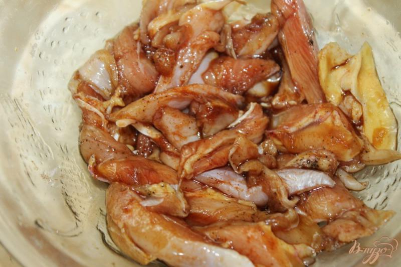 Фото приготовление рецепта: Домашняя острая шаурма с курицей и овощами шаг №1