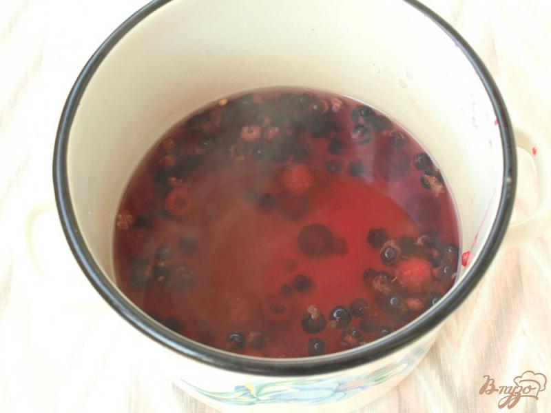 Фото приготовление рецепта: Кисель из ягод смородины и малины шаг №1