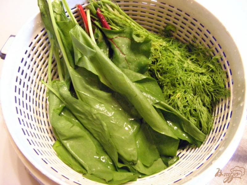 Фото приготовление рецепта: Салат из зелени шаг №2