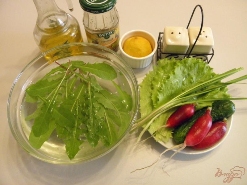 Фото приготовление рецепта: Салат из листьев одуванчика с редисом и огурцом шаг №1