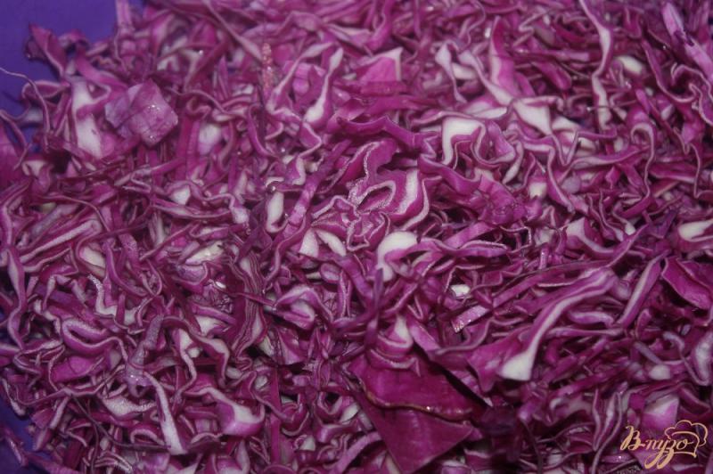 Фото приготовление рецепта: Салат из краснокочанной капусты с овощами шаг №1