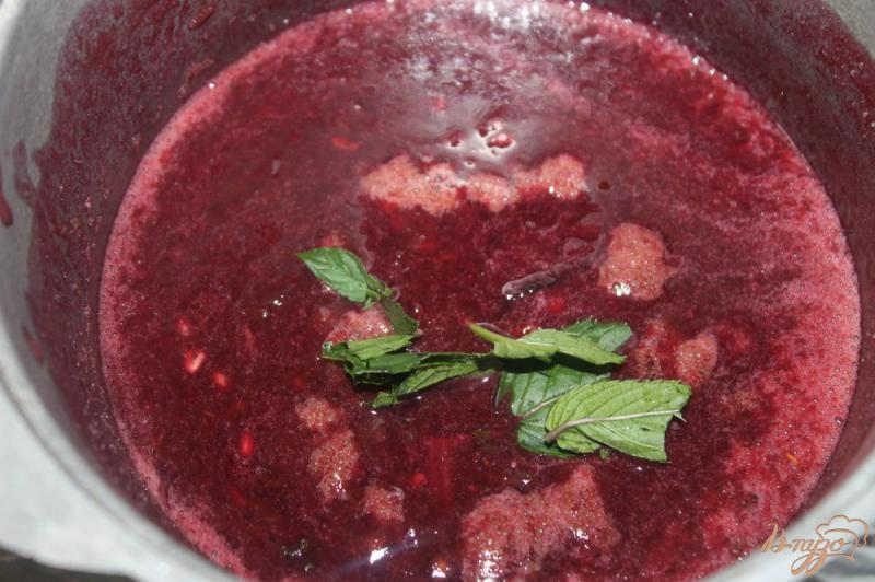 Фото приготовление рецепта: Виноградный соус с добавлением базилика и мяты шаг №6
