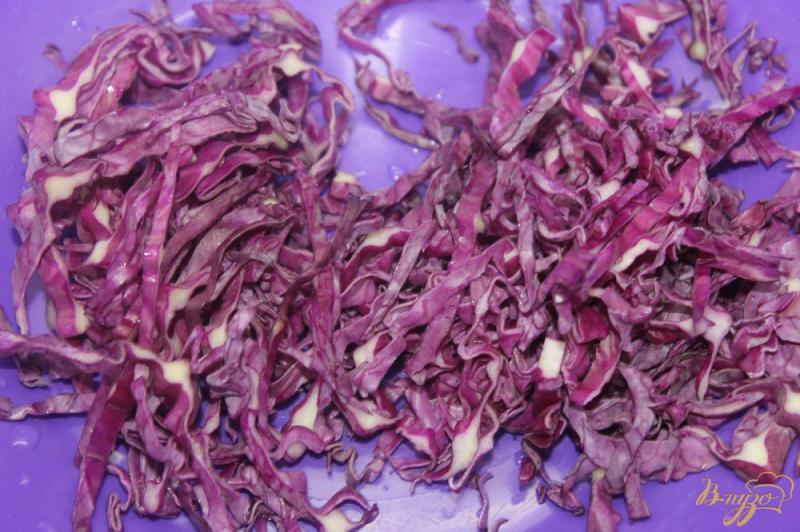 Фото приготовление рецепта: Салат из краснокочанной капусты и жареных баклажан шаг №3