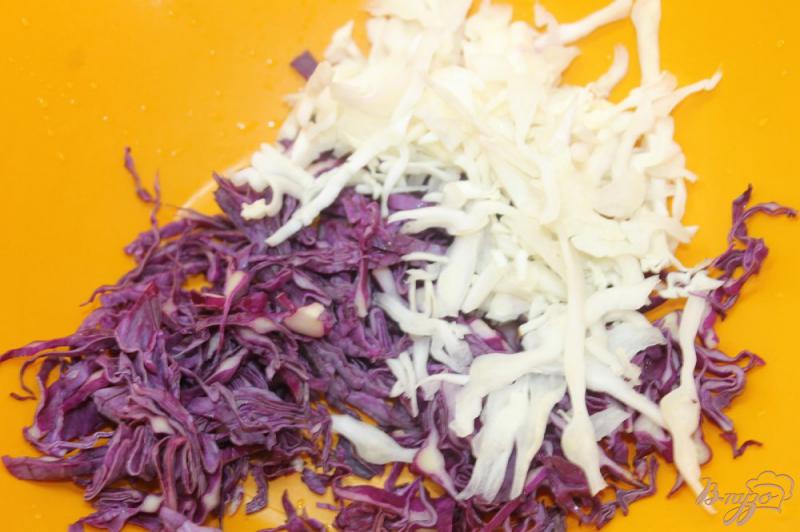 Фото приготовление рецепта: Салат из двух видов капусты с колбасой и сыром шаг №1