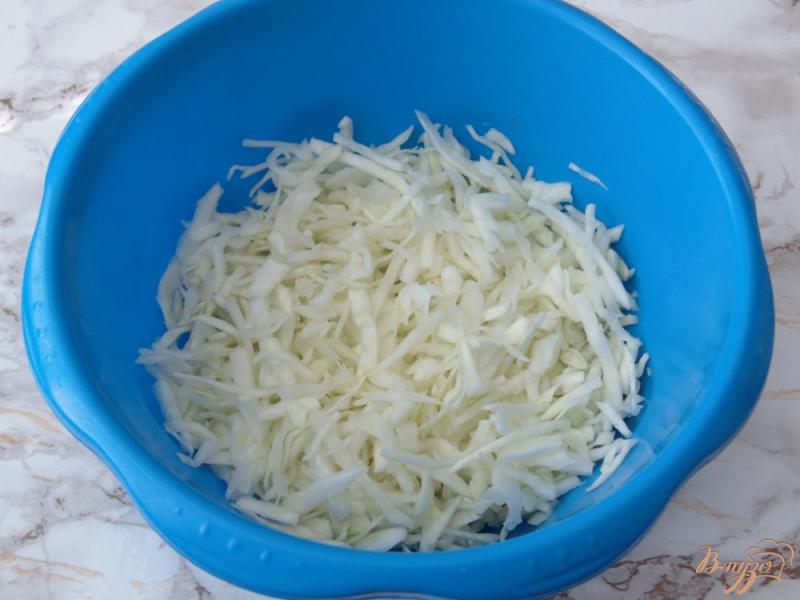 Фото приготовление рецепта: Салат из капусты с морковью и мясом курицы шаг №2