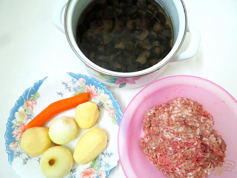 Фото приготовление рецепта: Суп с лесными грибами и фрикадельками шаг №1