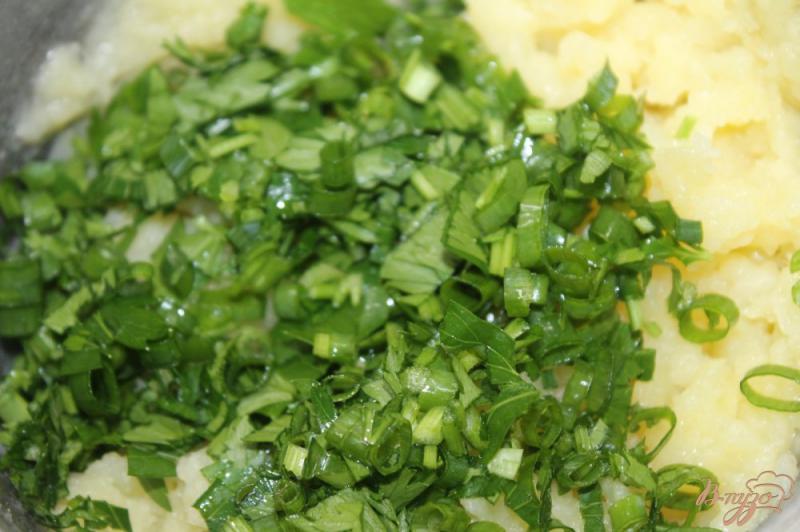 Фото приготовление рецепта: Картофельные котлетки с зеленью и грибами шаг №3