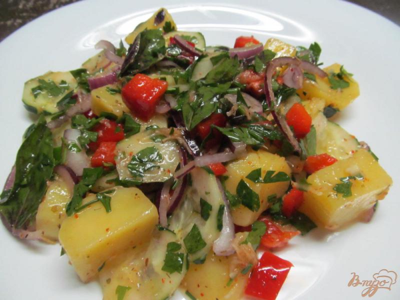 Фото приготовление рецепта: Легкий картофельный салат шаг №4