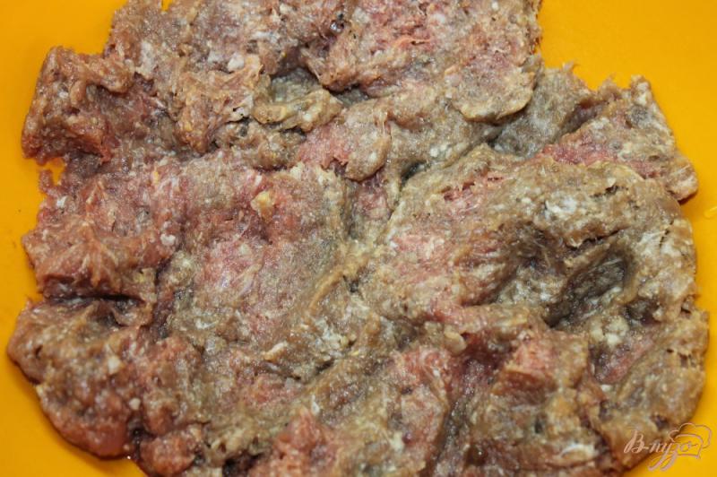 Фото приготовление рецепта: Ароматные мясные колбаски из мяса утки шаг №1