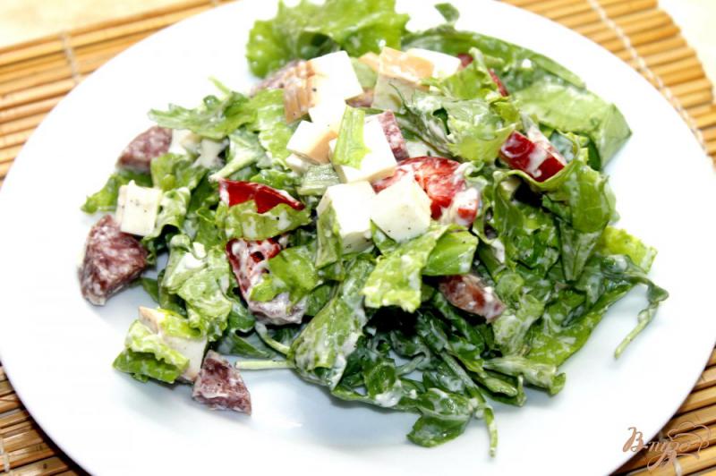 Фото приготовление рецепта: Сытный салат с зеленью, сыром и колбасой шаг №5