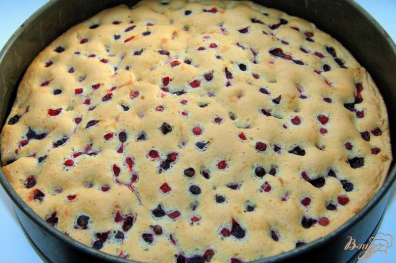Фото приготовление рецепта: Бисквитный пирог с ягодами шаг №8