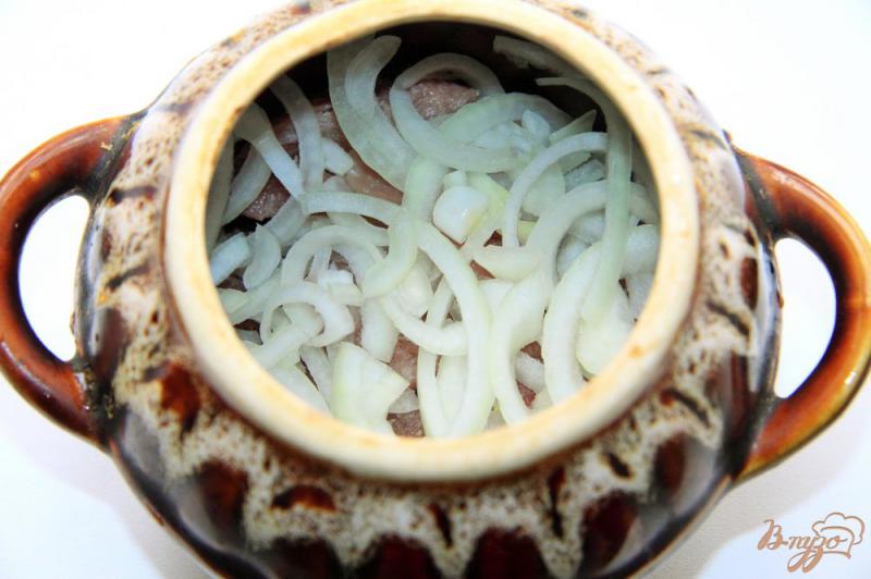Фото приготовление рецепта: Чанахи в горшочках со свининой шаг №3