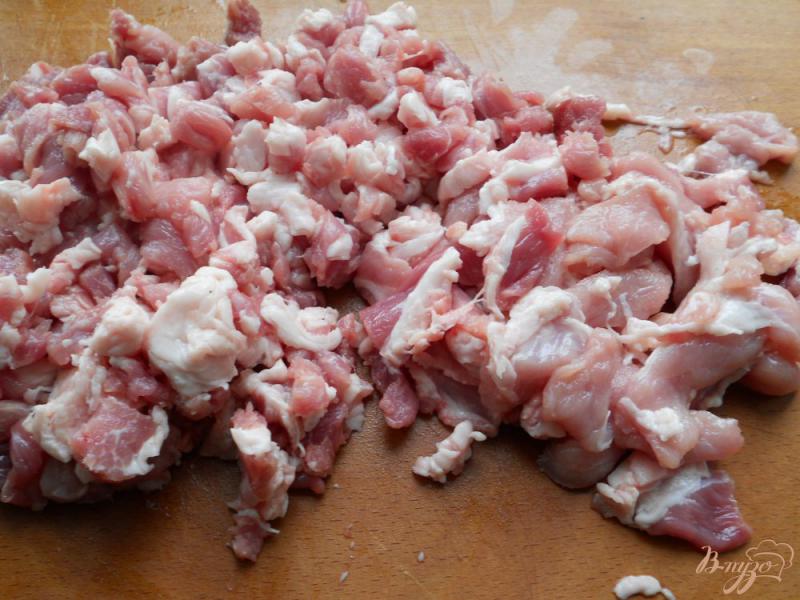 Фото приготовление рецепта: Мясная колбаса с паприкой и овсянкой шаг №1