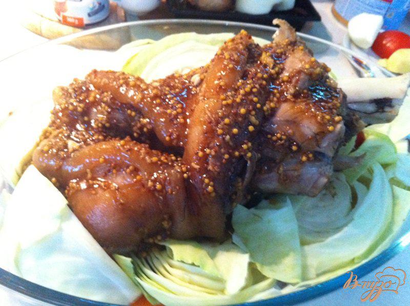 Фото приготовление рецепта: Запеченная свиная рулька с капустой шаг №9