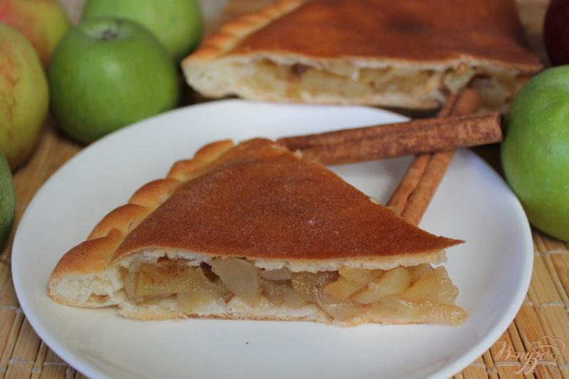 Фото приготовление рецепта: Дрожжевой пирог с яблоками и корицей шаг №9
