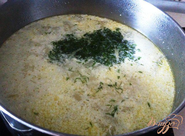 Фото приготовление рецепта: Суп из цветной капусты с индейкой шаг №9