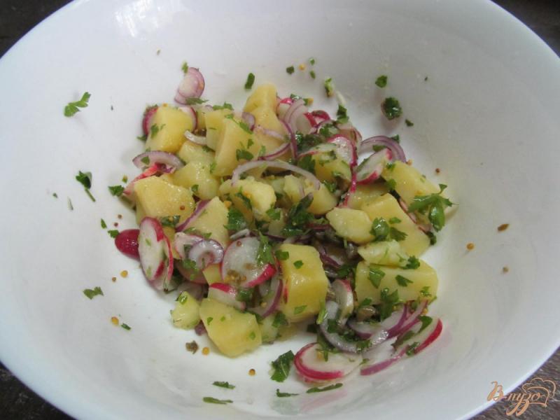 Фото приготовление рецепта: Гамбургский салат шаг №4