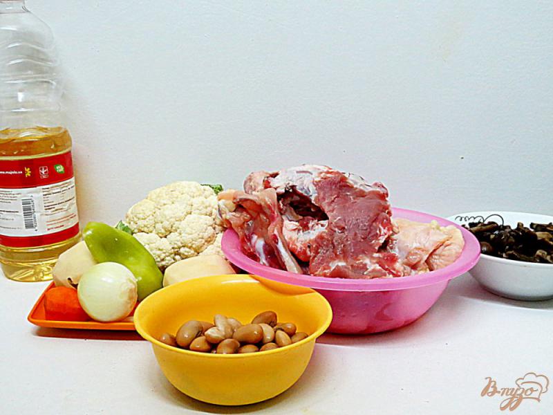 Фото приготовление рецепта: Суп с опятами и цветной капустой шаг №1