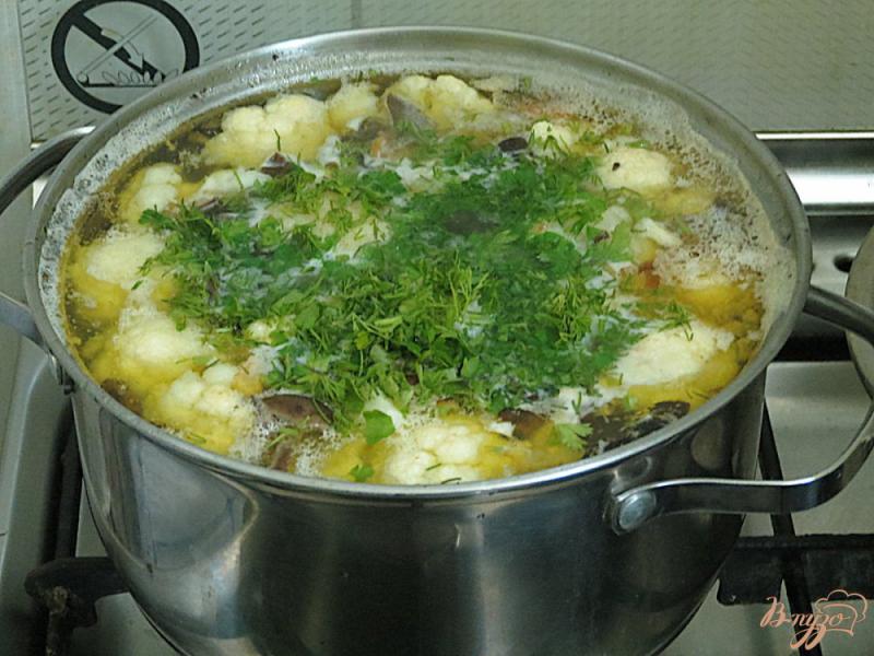 Фото приготовление рецепта: Суп с опятами и цветной капустой шаг №11
