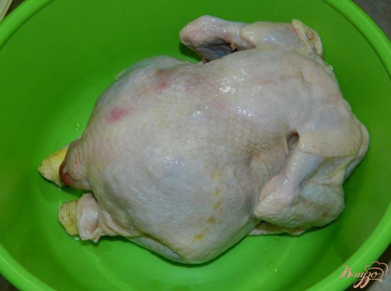 Фото приготовление рецепта: Курица в горчичном маринаде шаг №1
