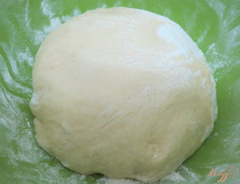 Фото приготовление рецепта: Дрожжевое тесто на растительном масле для печеных пирожков шаг №9