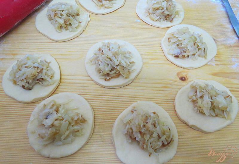 Фото приготовление рецепта: Пирожки из дрожжевого теста на растительном масле шаг №7