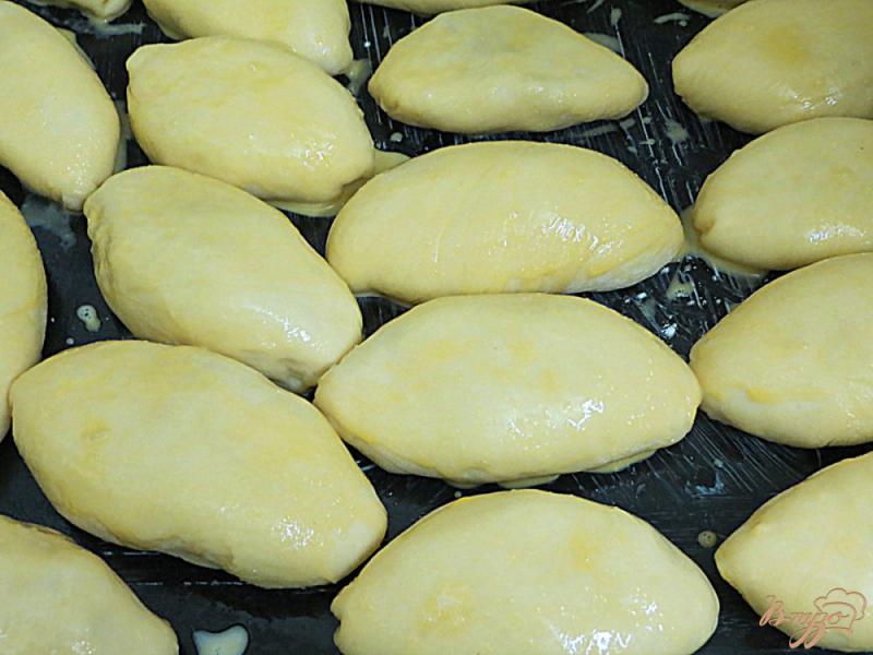 Фото приготовление рецепта: Пирожки из дрожжевого теста на растительном масле шаг №9