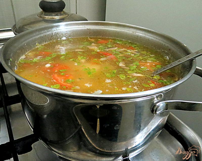 Фото приготовление рецепта: Овощной суп с шампиньонами шаг №9